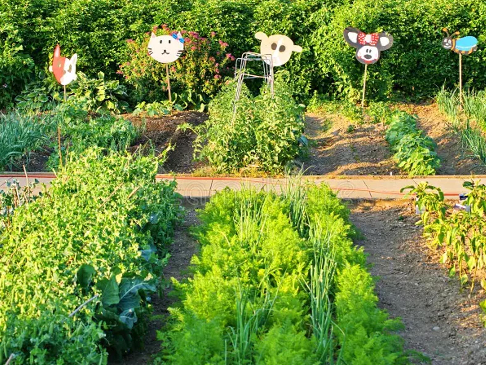 Food Security Program